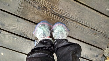 IMG_20150810_154334672_HDR